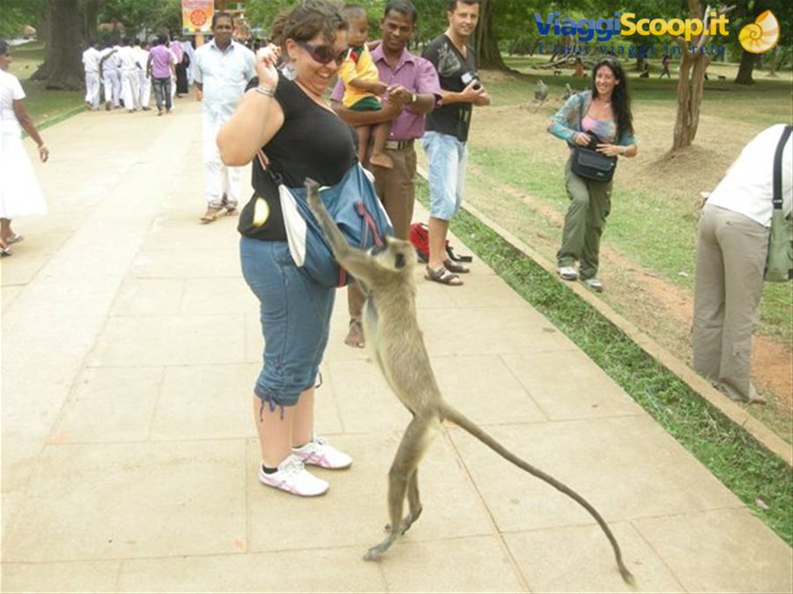 Foto di viaggio in SRI LANKA