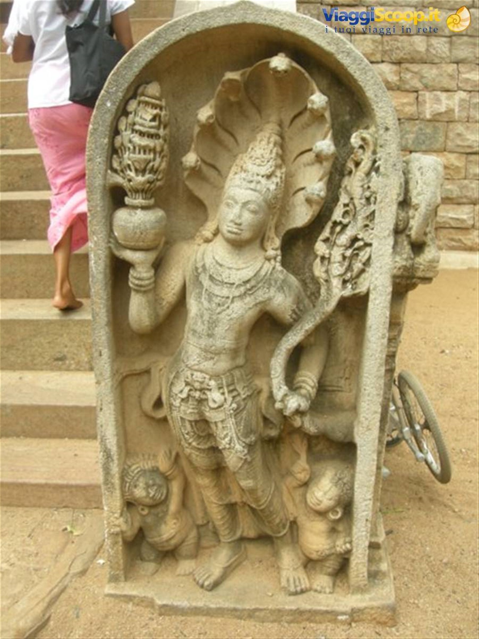 Anuradaphura
