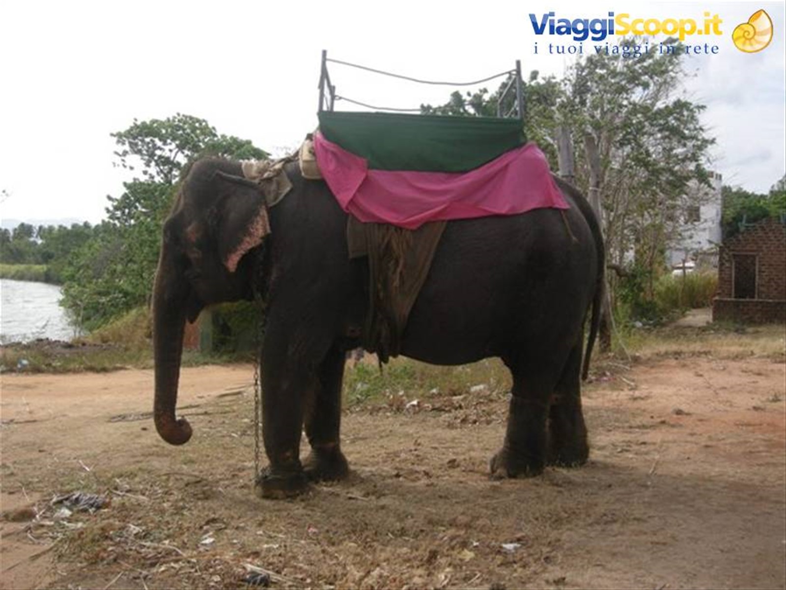 Foto di viaggio in SRI LANKA