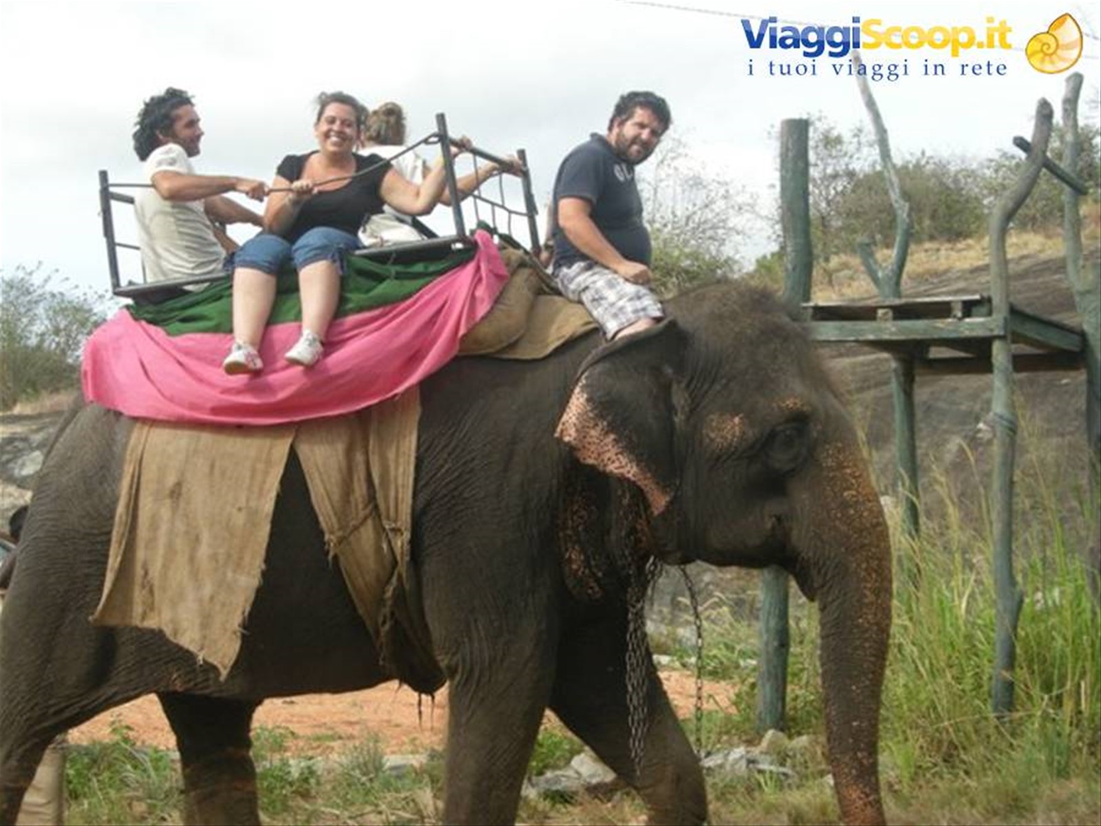 Foto di viaggio in SRI LANKA