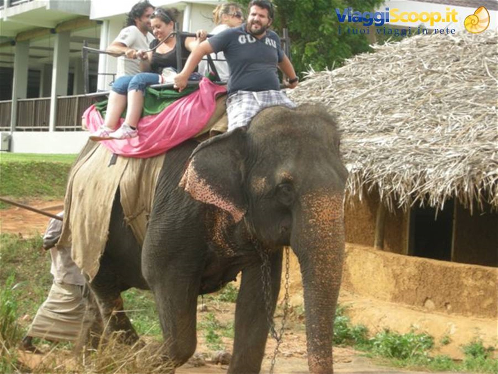 Foto di viaggio in SRI LANKA