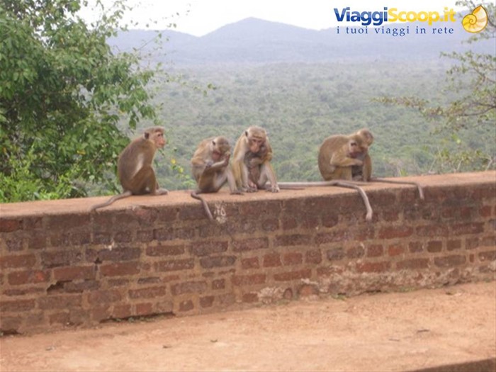 Fortezza di Sigiriya