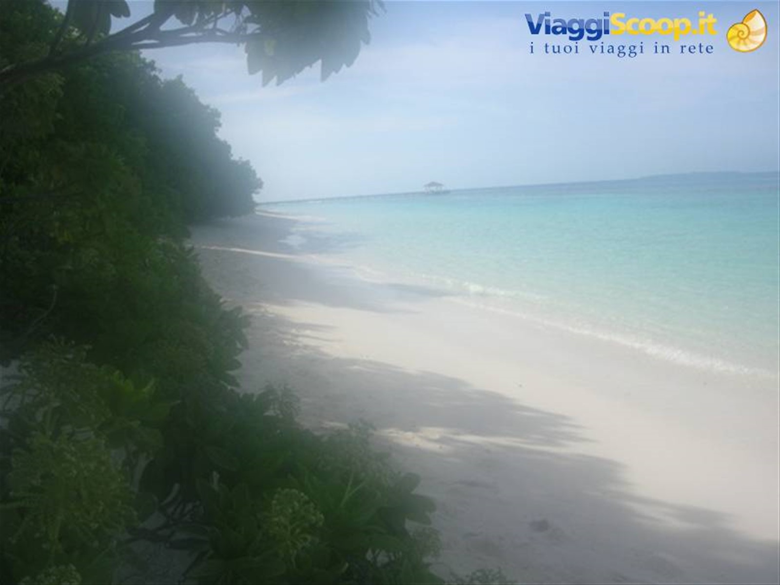 Foto di viaggio in MALDIVE