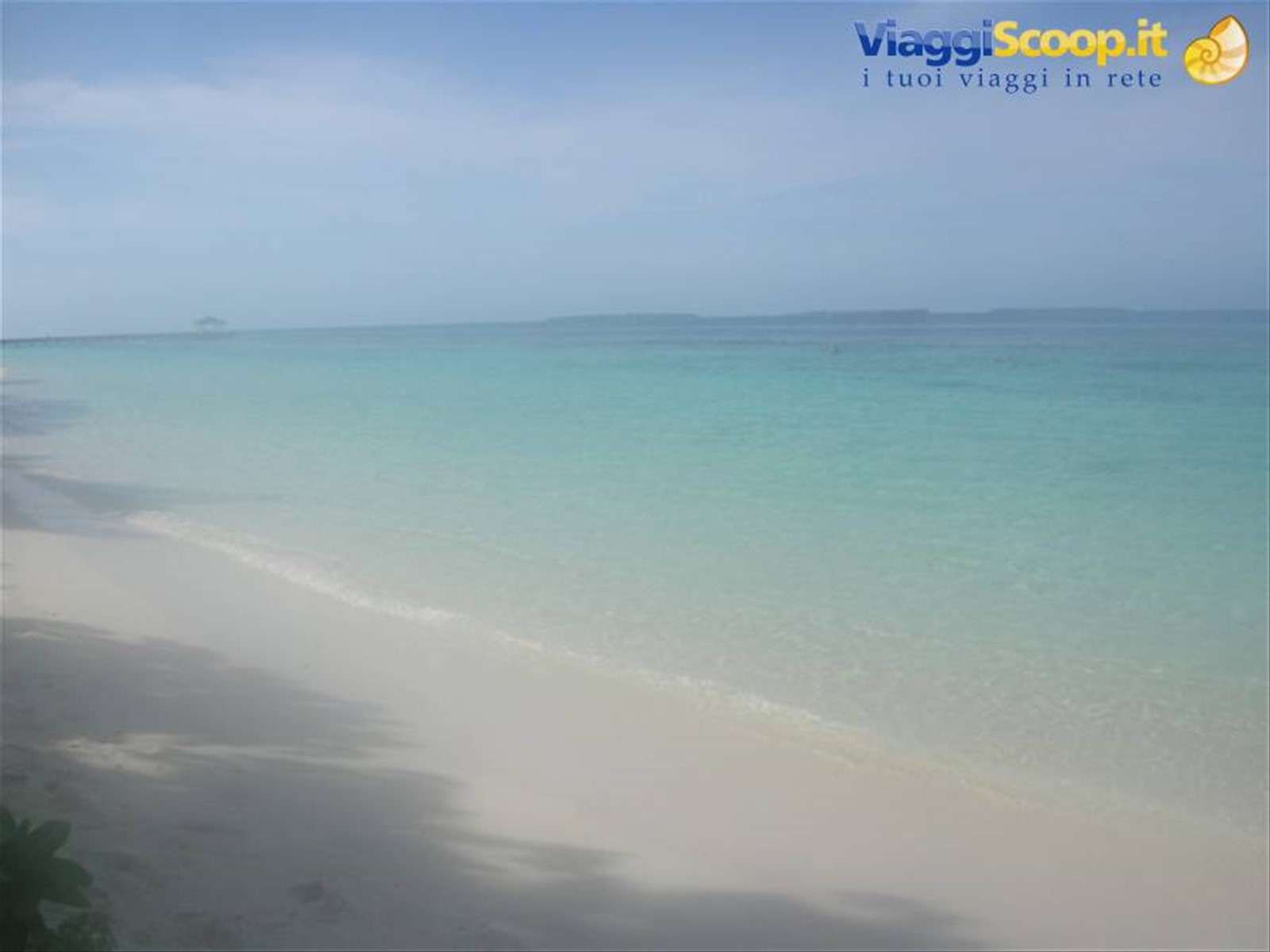 Foto di viaggio in MALDIVE