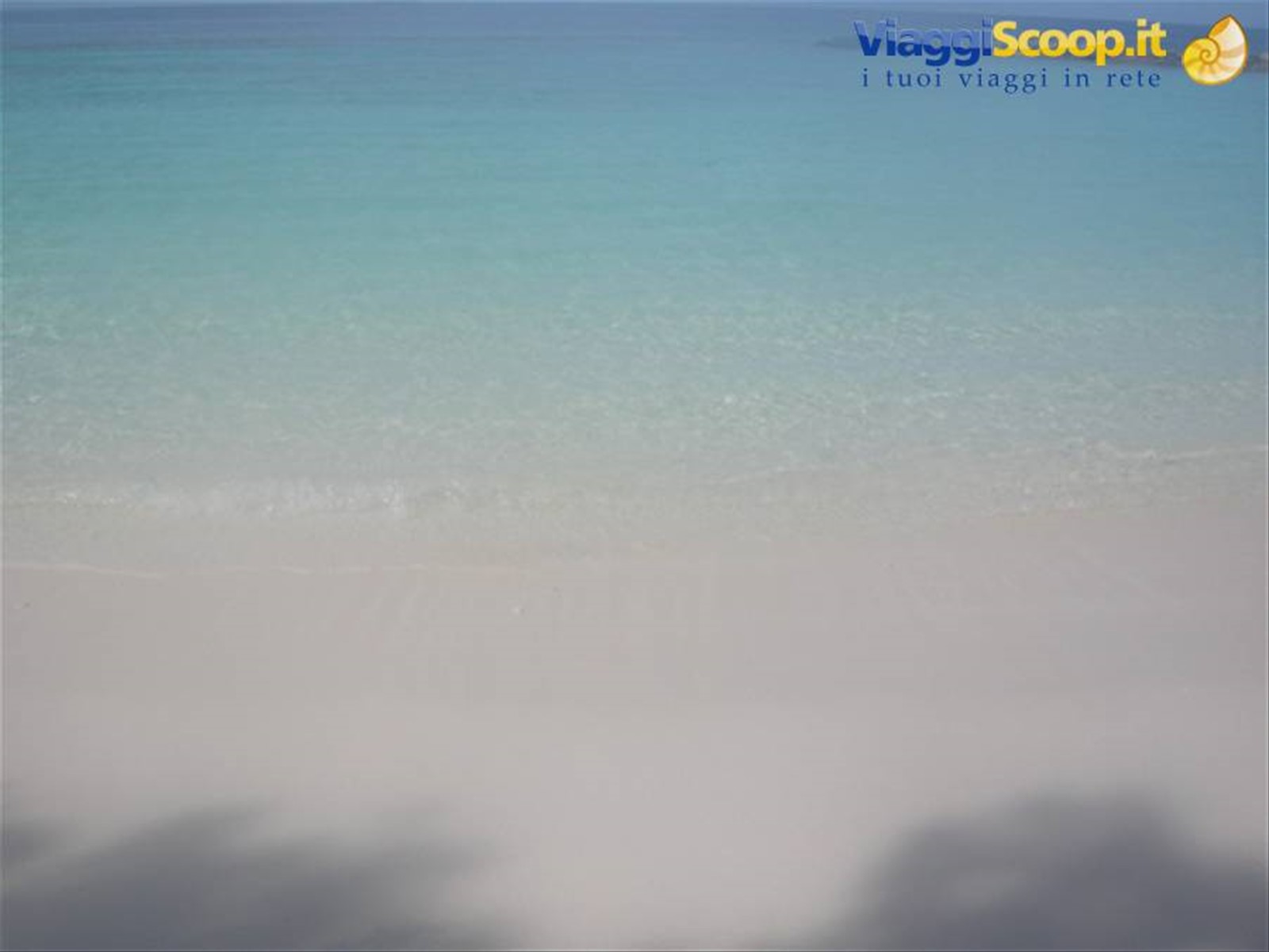 Foto di viaggio in MALDIVE