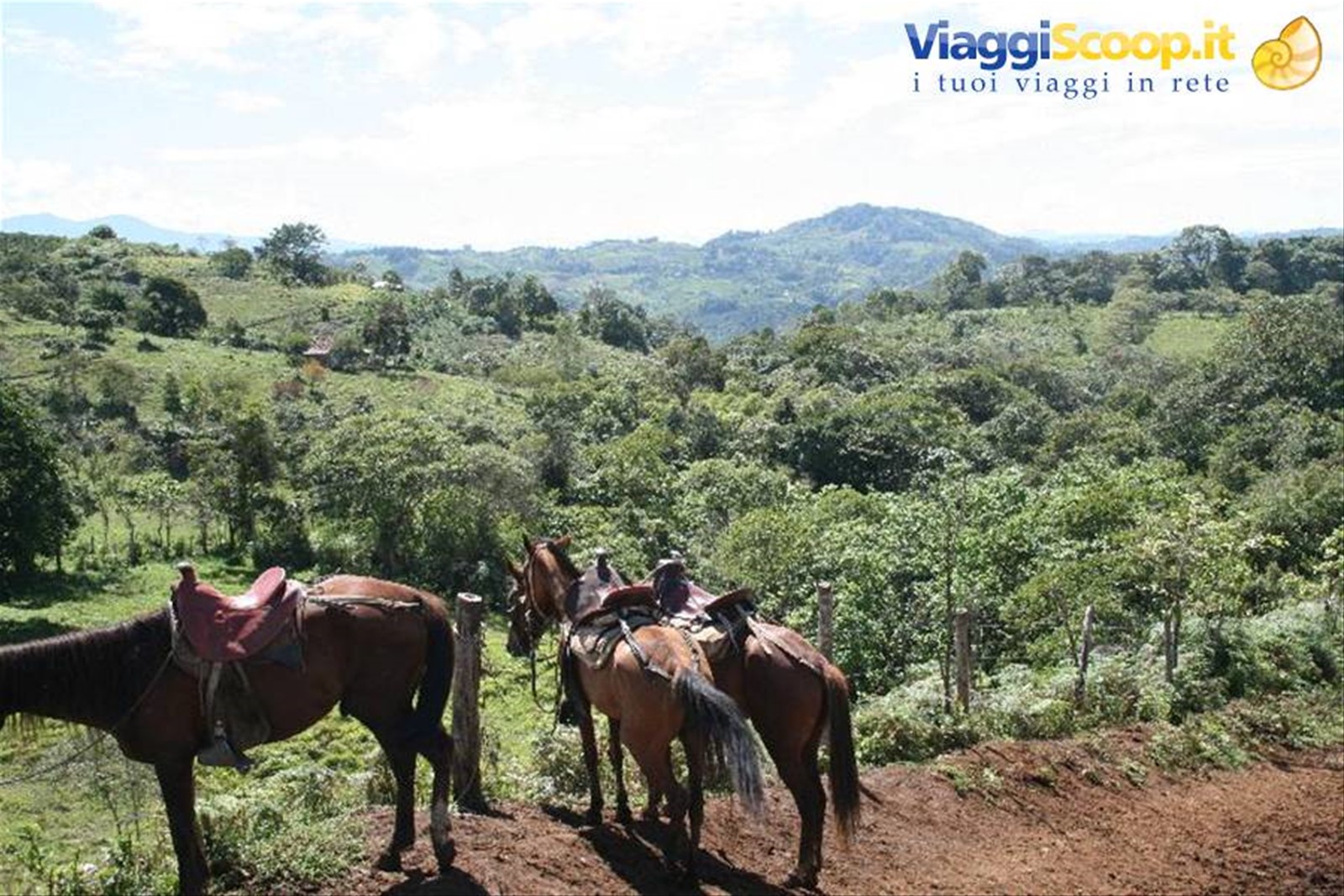 Foto di viaggio in COLOMBIA