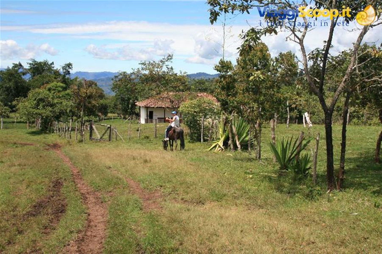 Foto di viaggio in COLOMBIA