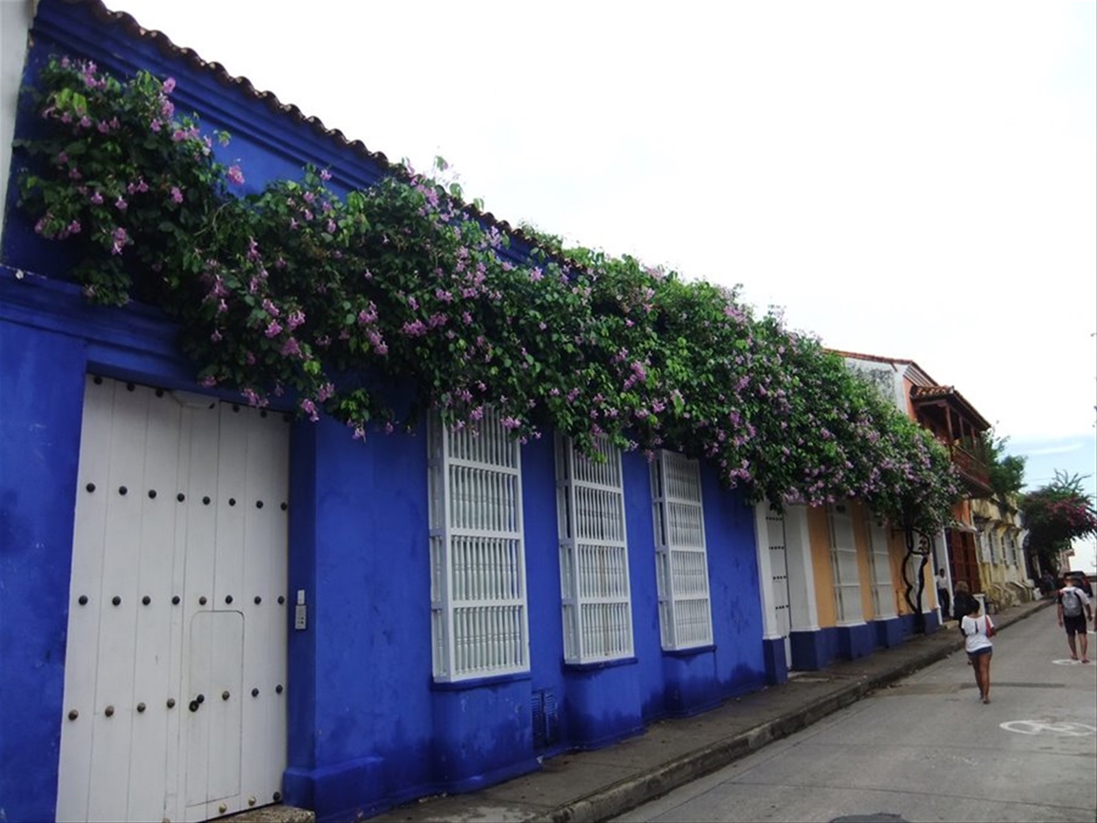 Foto di viaggio in COLOMBIA