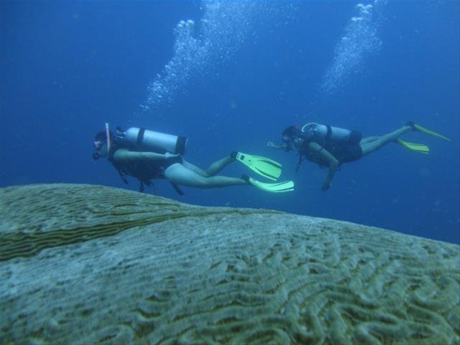 Foto di viaggio in PANAMA