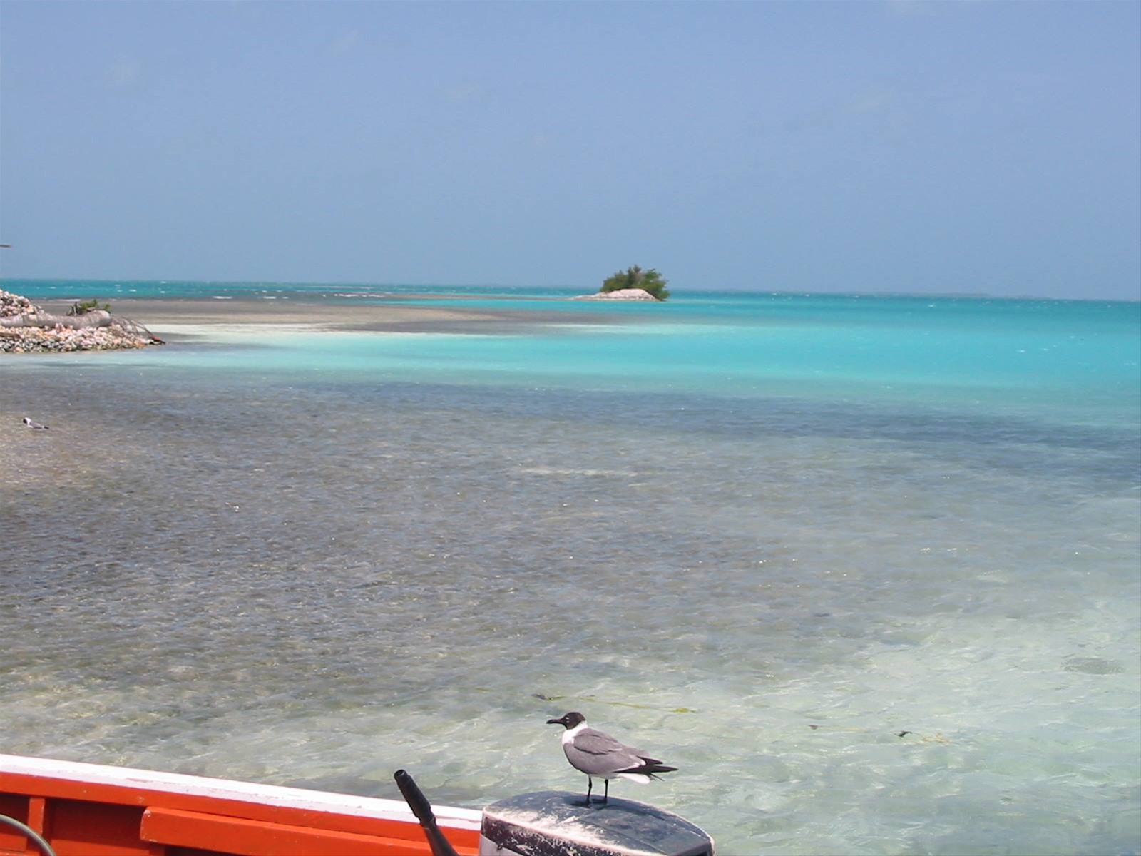 los roques
