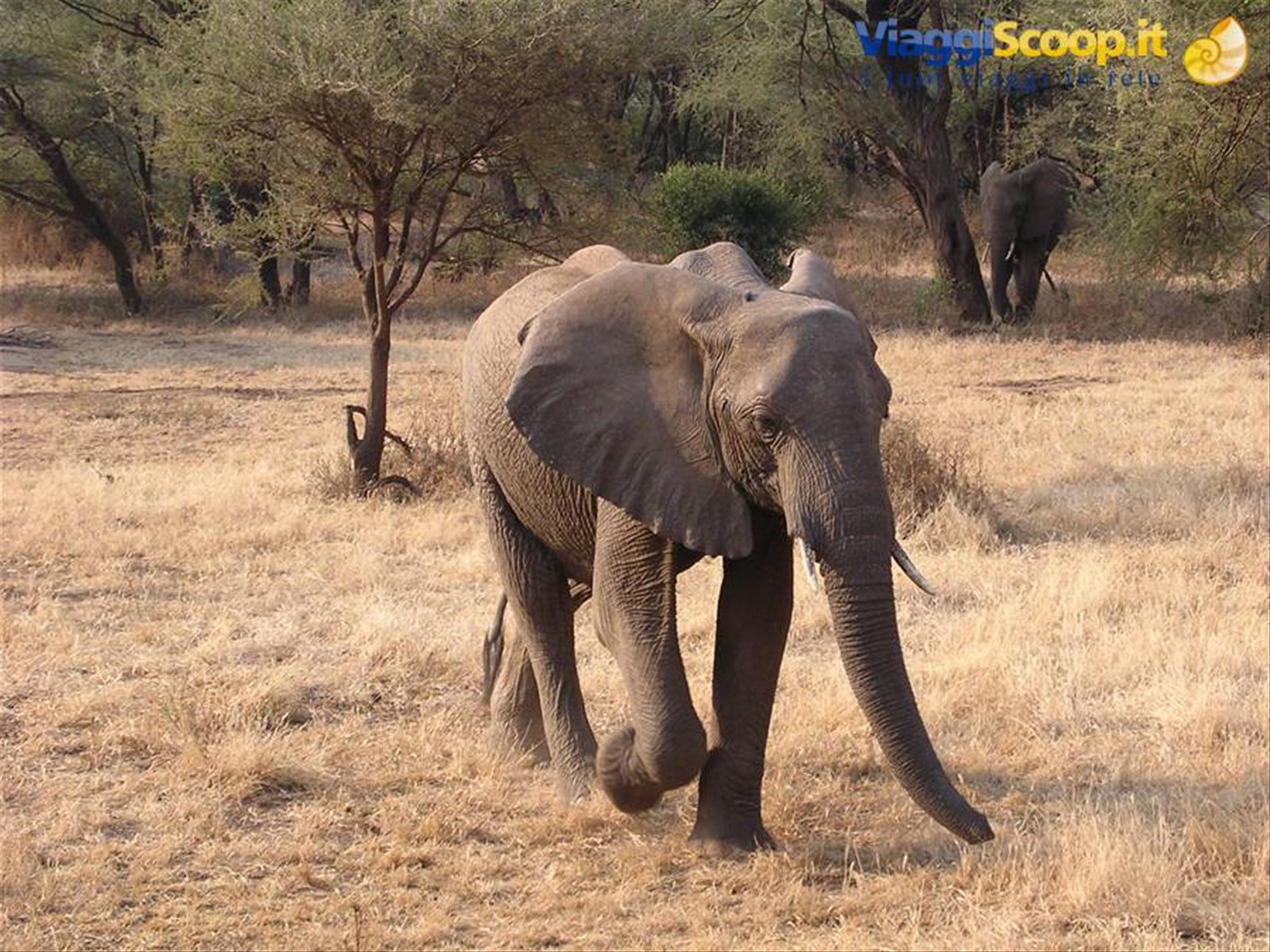 Lake Manyara