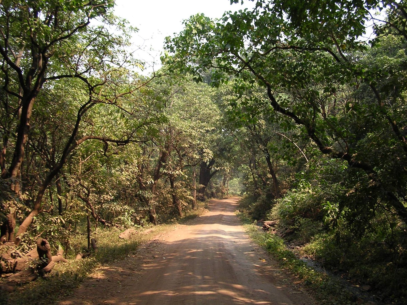 Lake Manyara