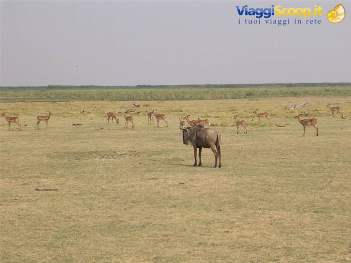 Lake Manyara