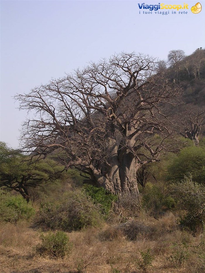 Lake Manyara