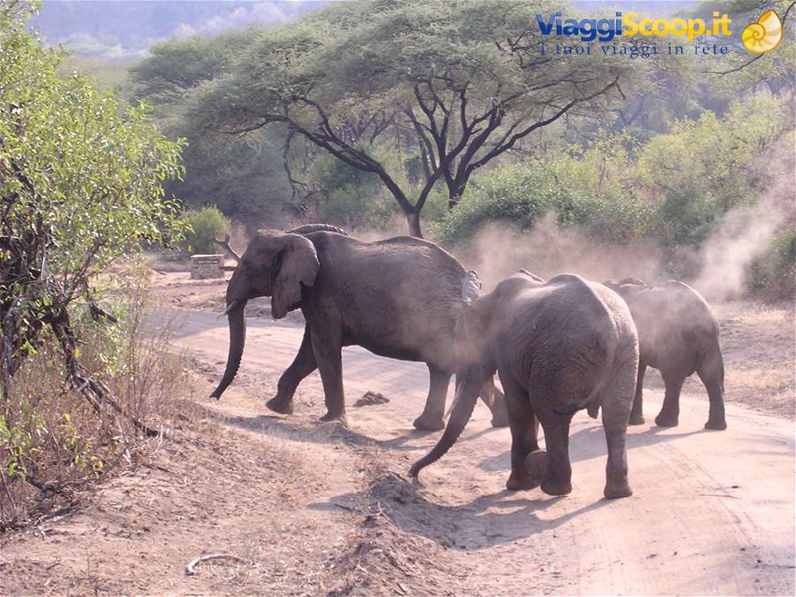 Lake Manyara