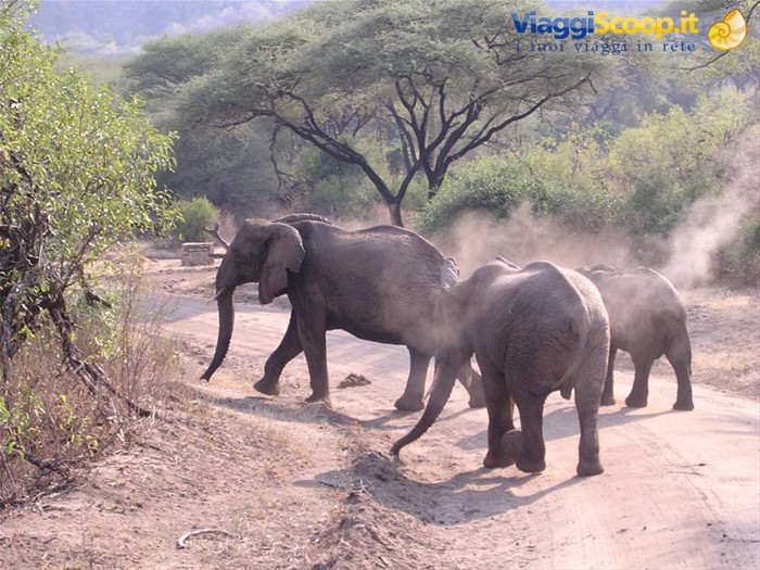 Lake Manyara