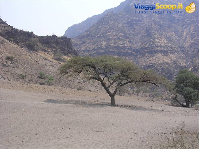 deserto vicino al lago natron