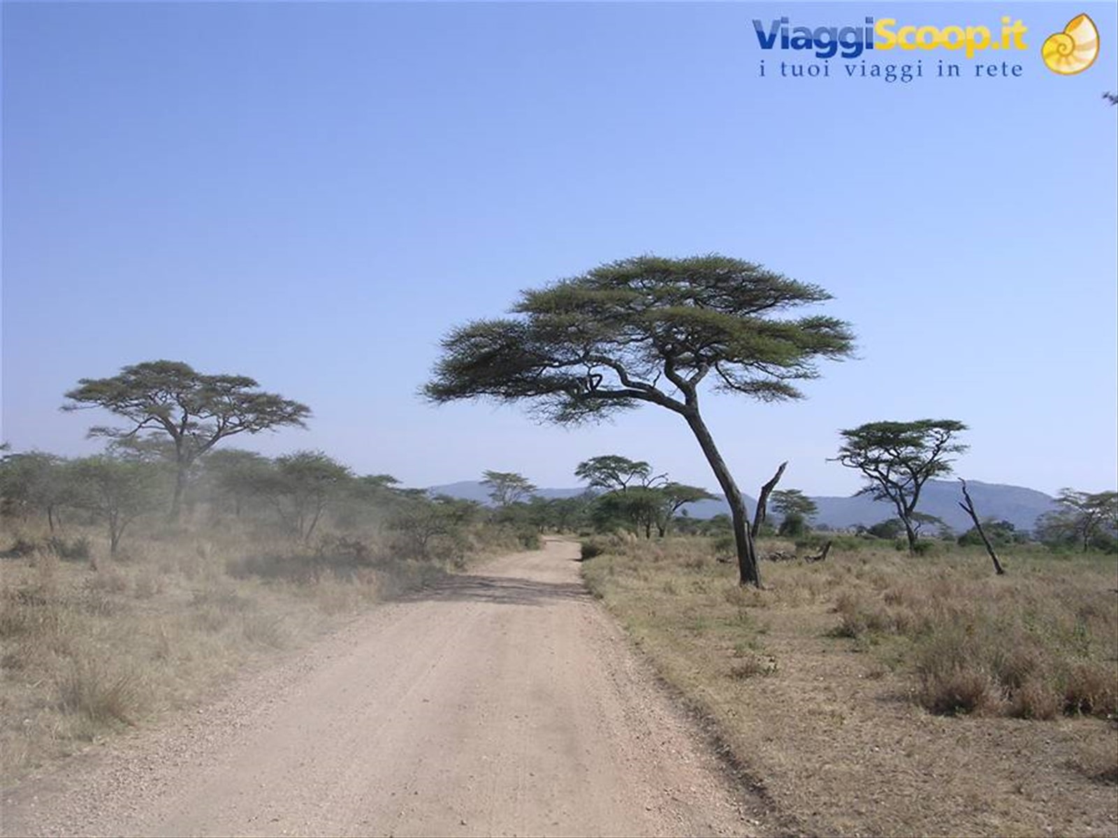 Serengeti