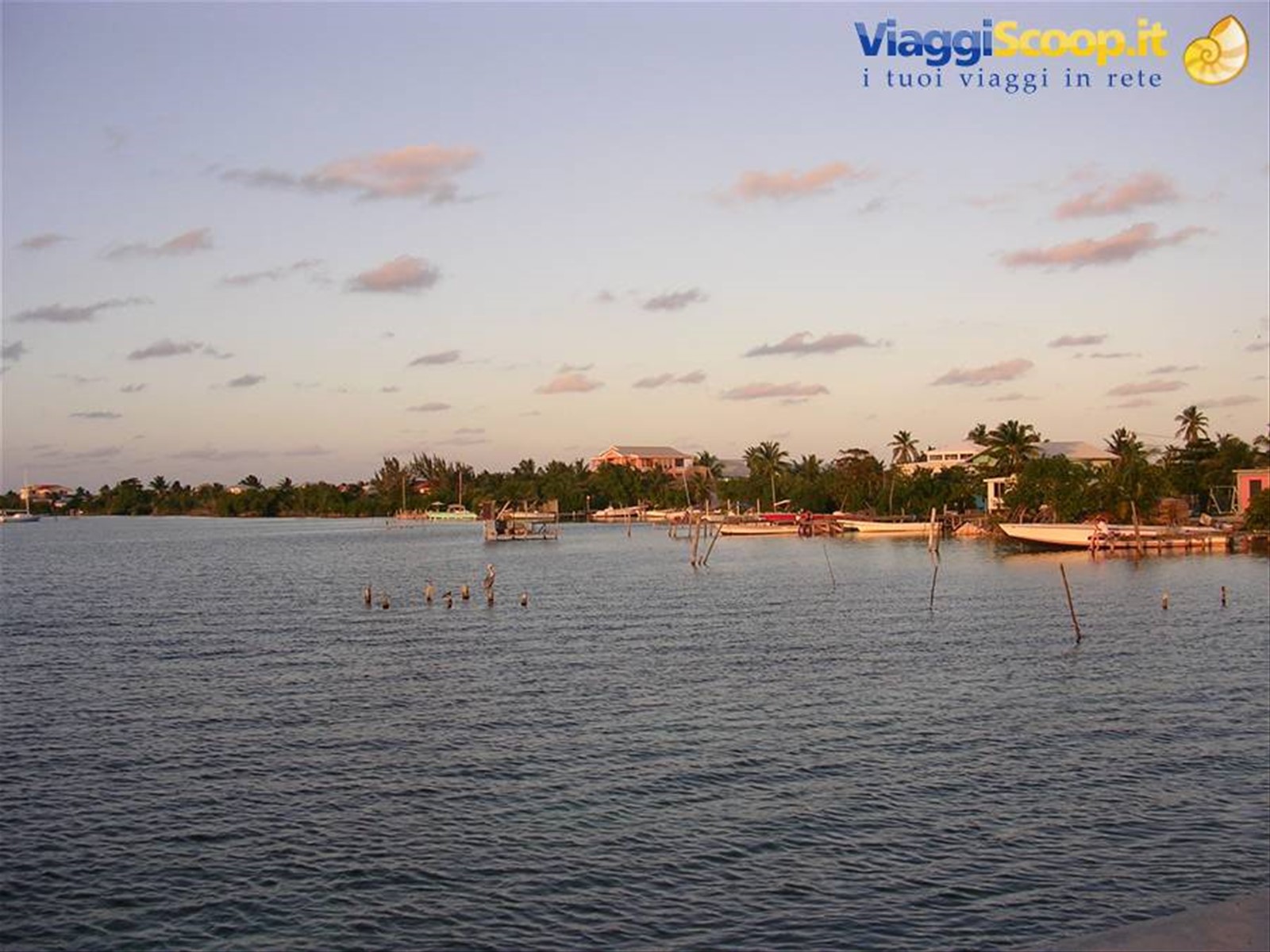 Caye Caulker