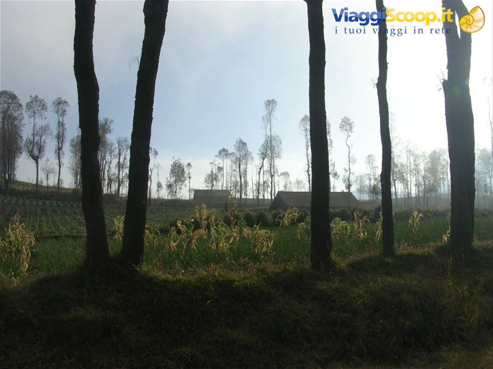 Monte Bromo