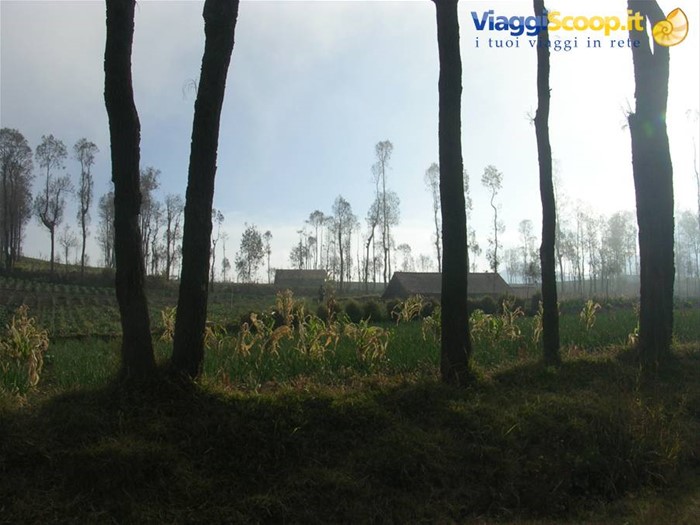 Monte Bromo
