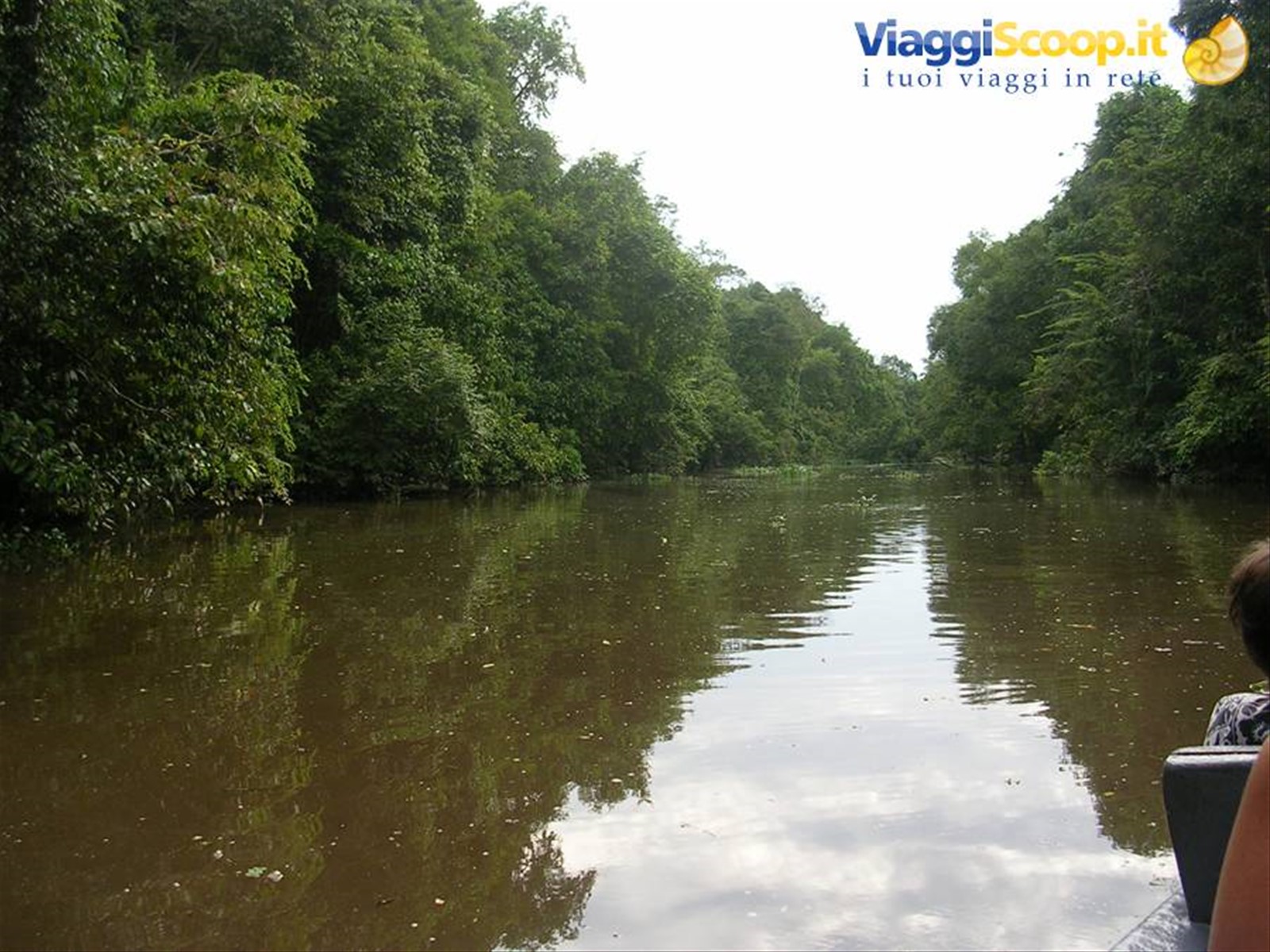 Kinabatangan River