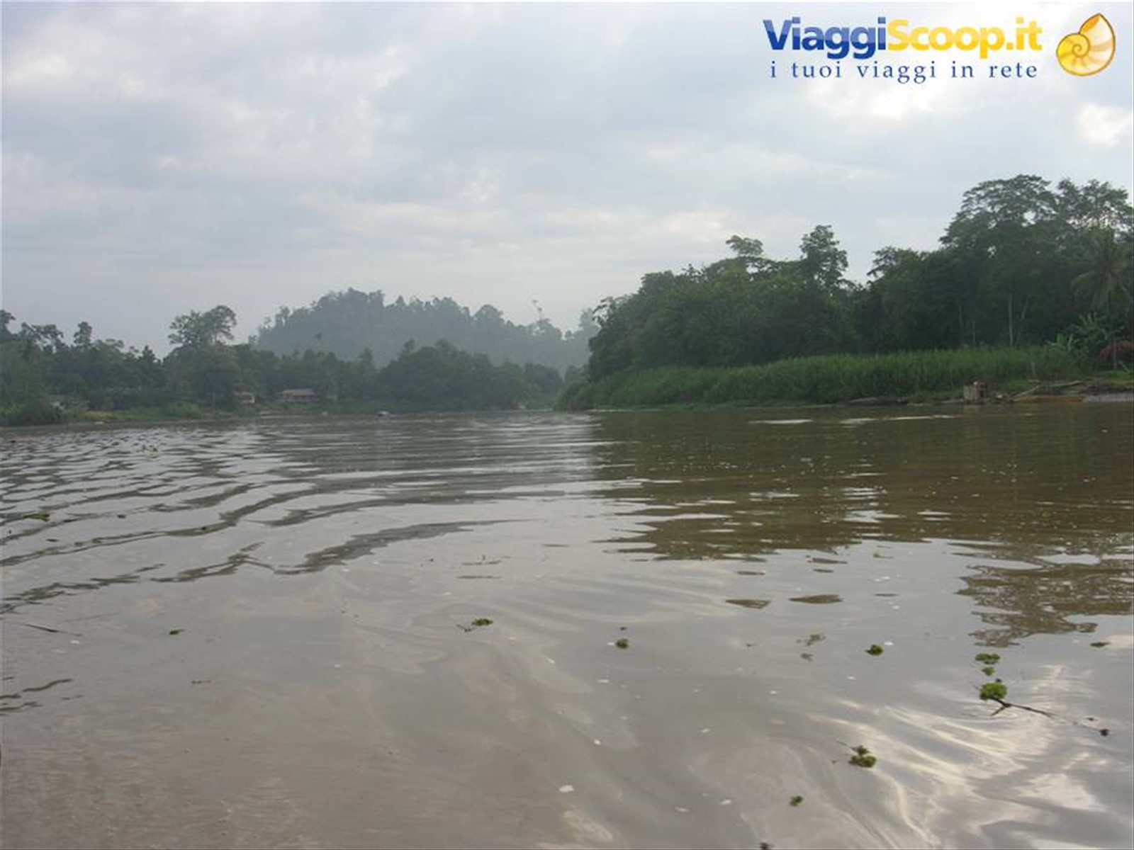 Kinabatangan River