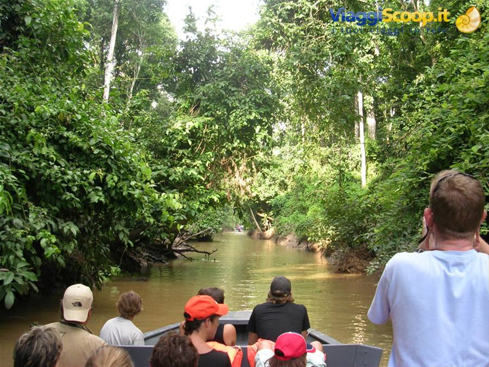 Kinabatangan River