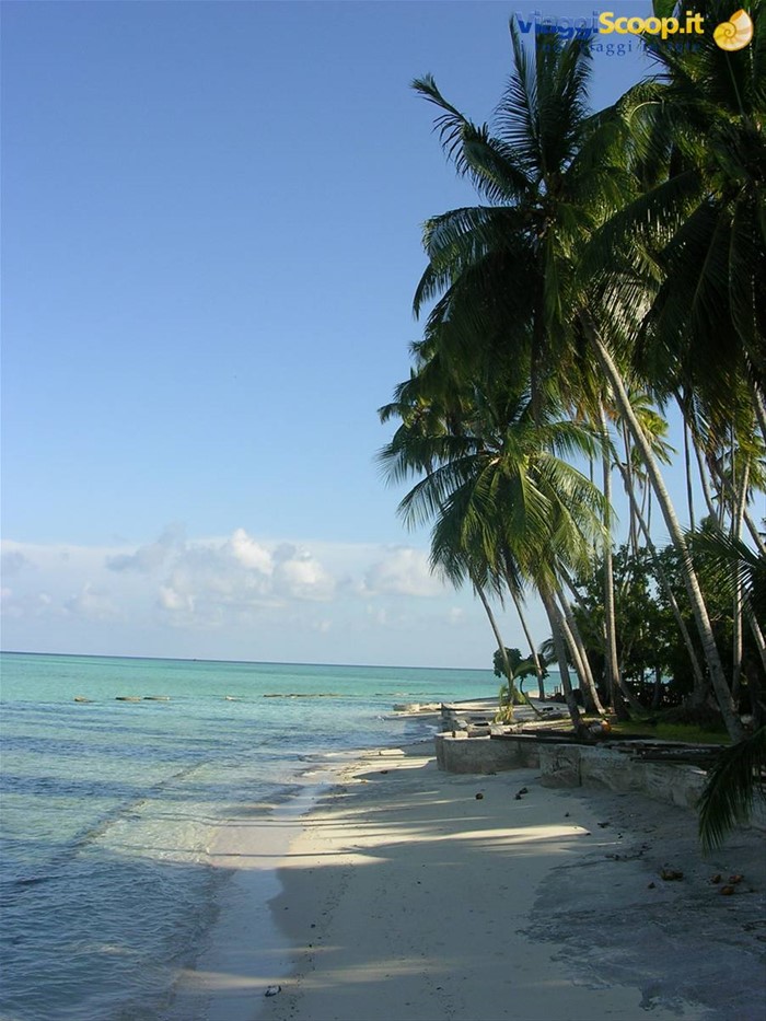 Mabul