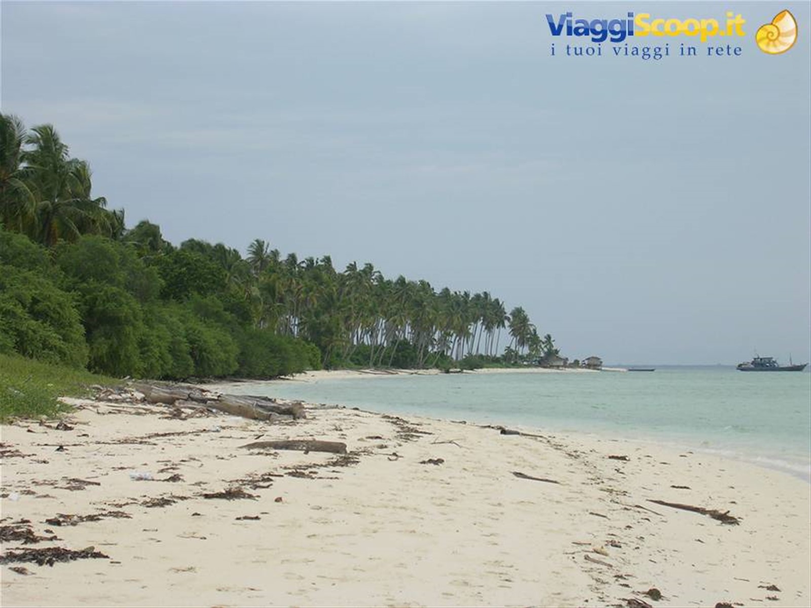 Foto di viaggio in MALESIA
