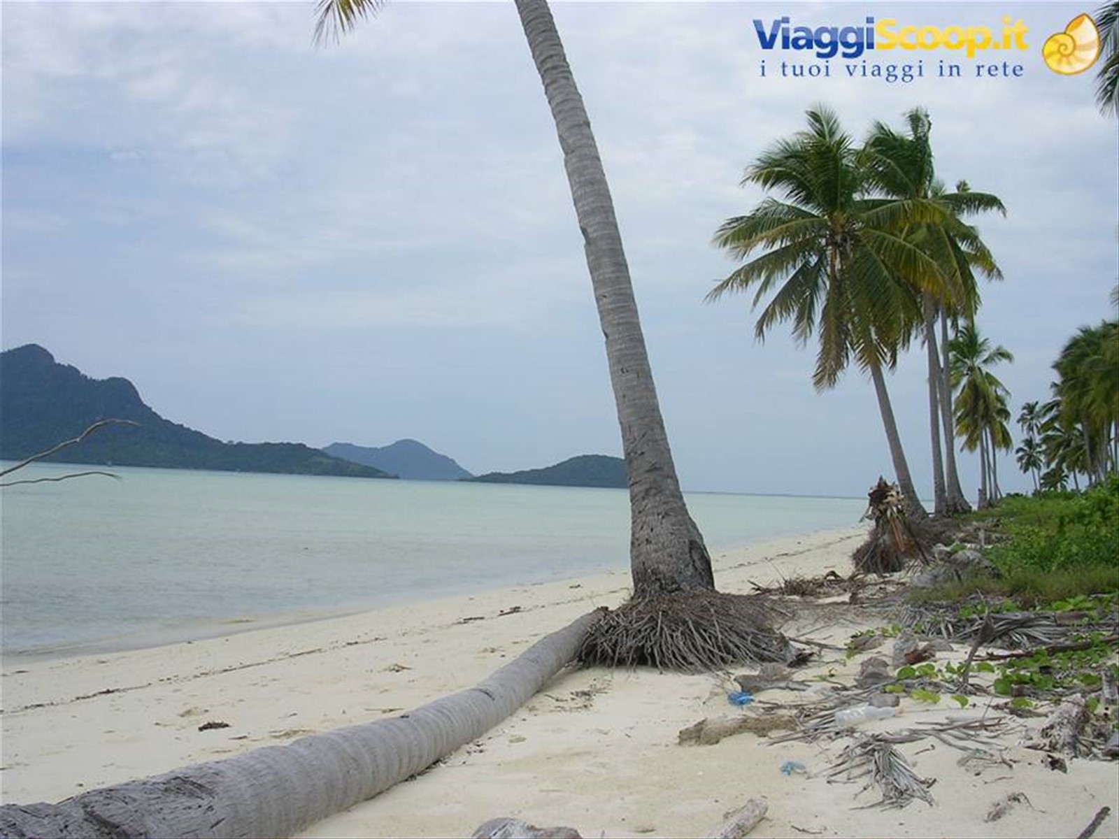 Foto di viaggio in MALESIA