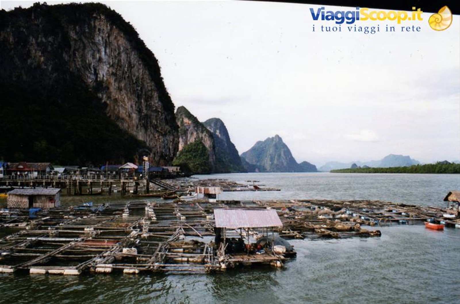 Koh Pangan