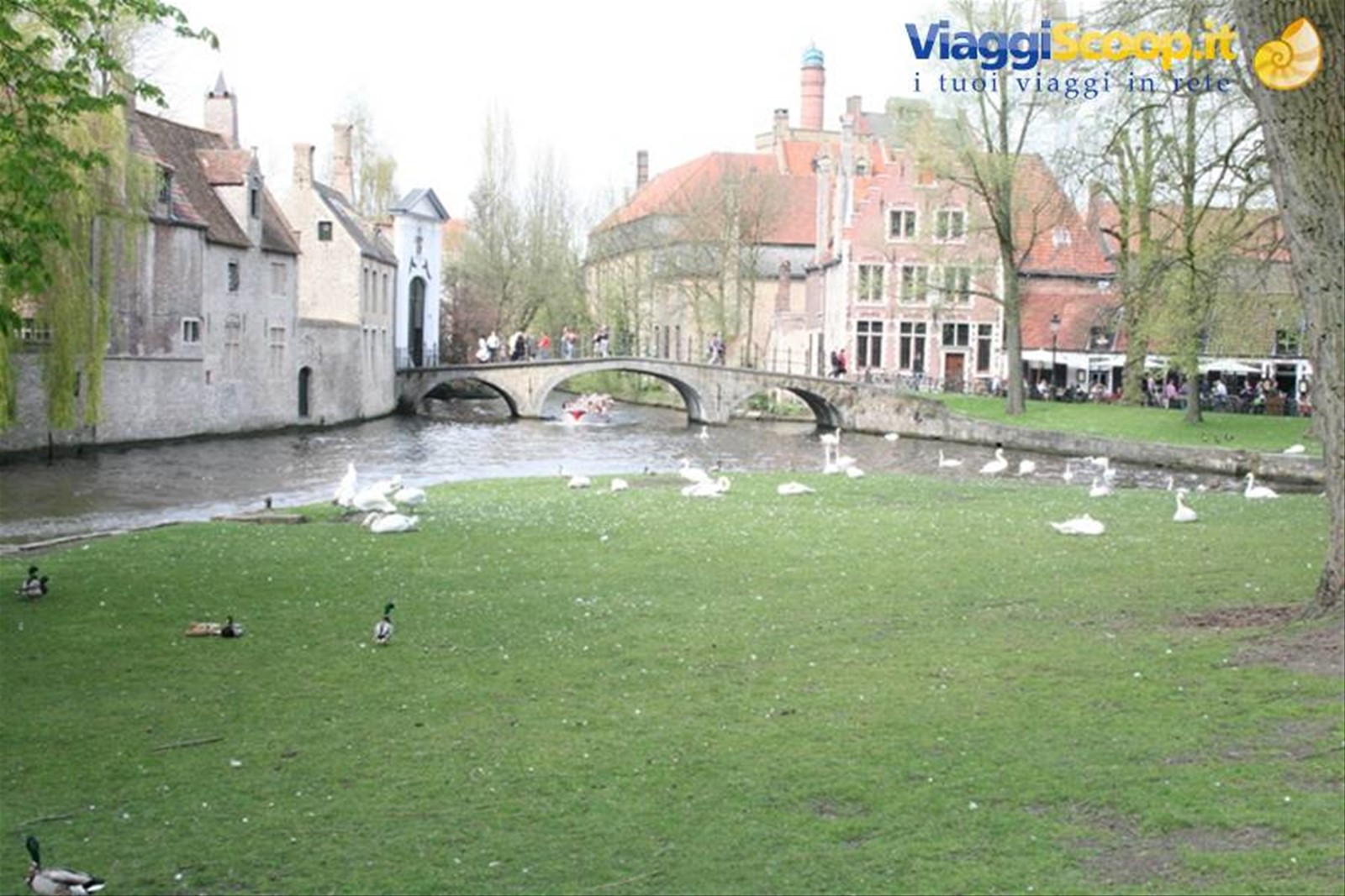 Foto di viaggio in BELGIO