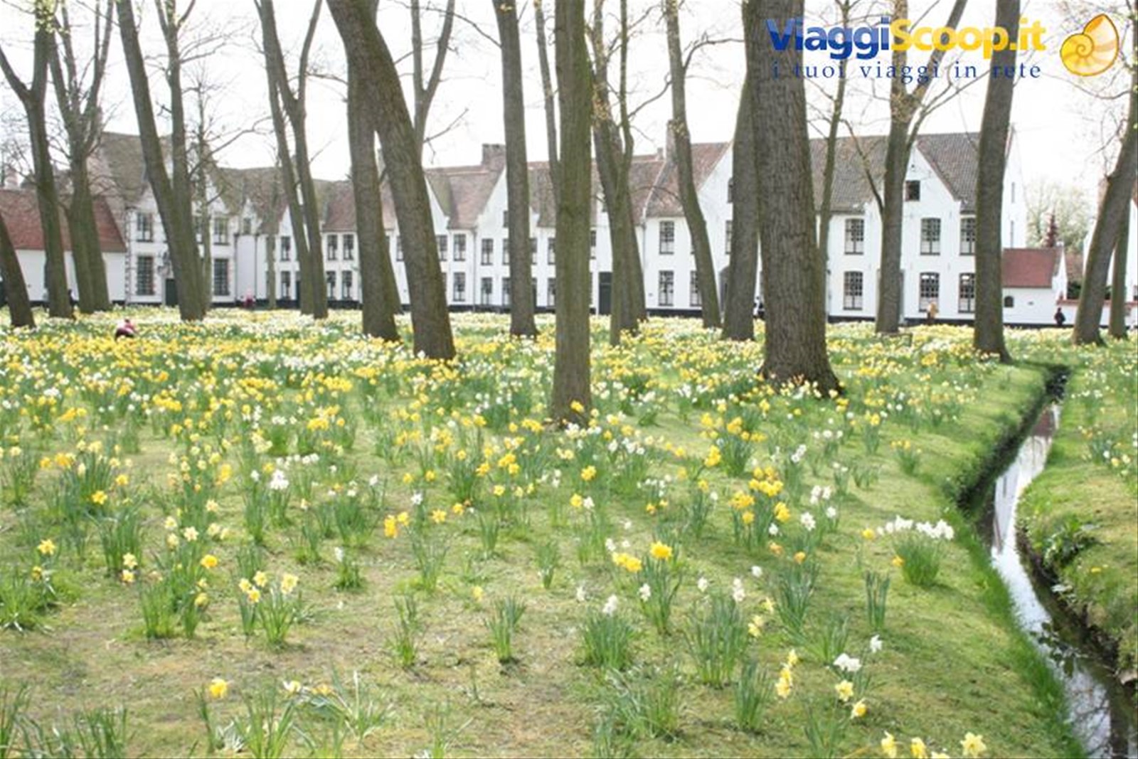 Foto di viaggio in BELGIO
