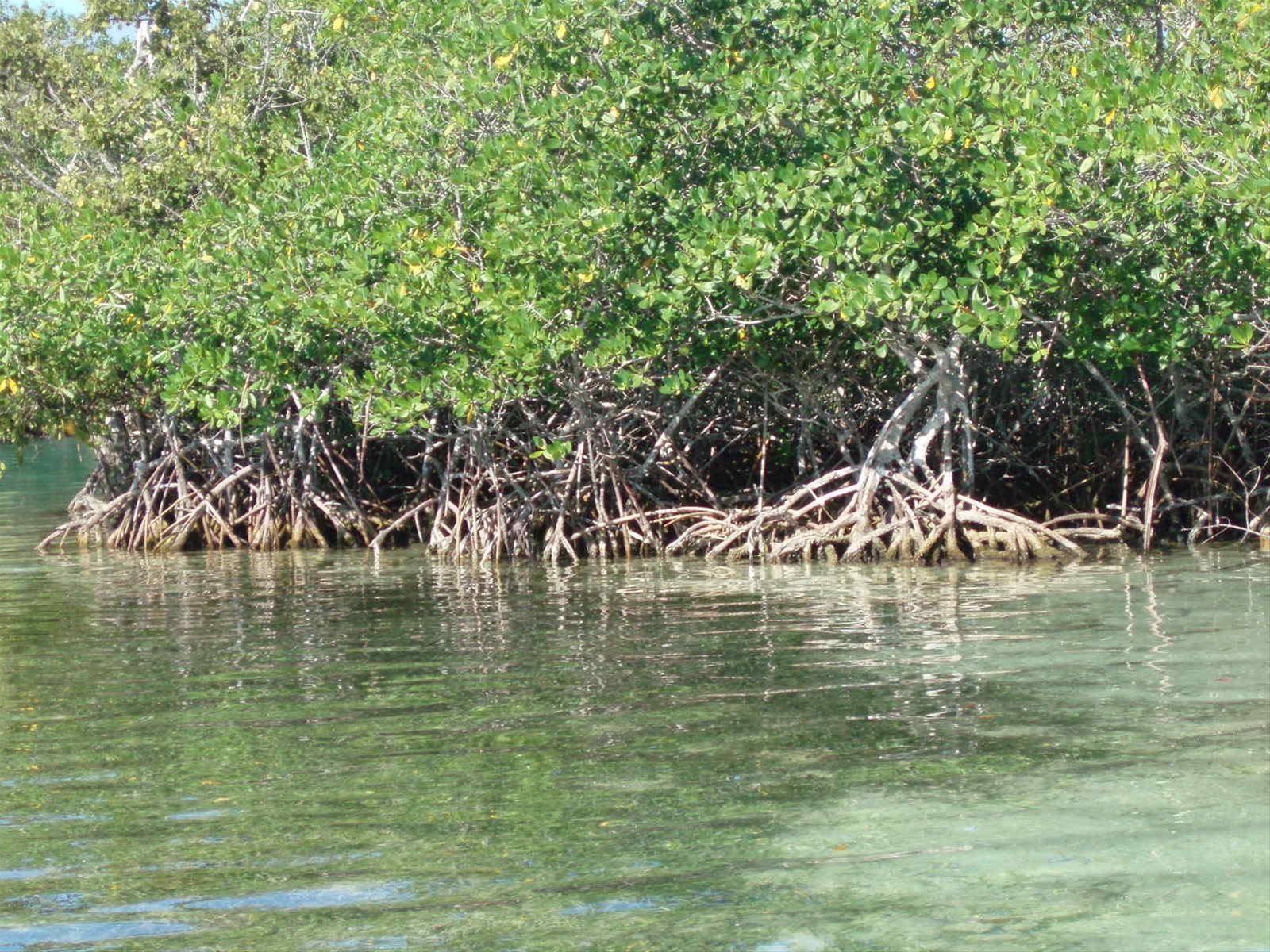 Foto di viaggio in REPUBBLICA DOMINICANA