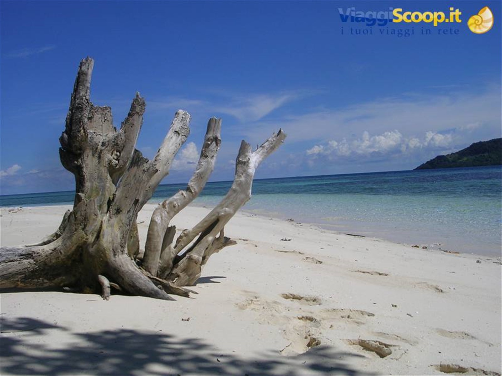 pon-pon island