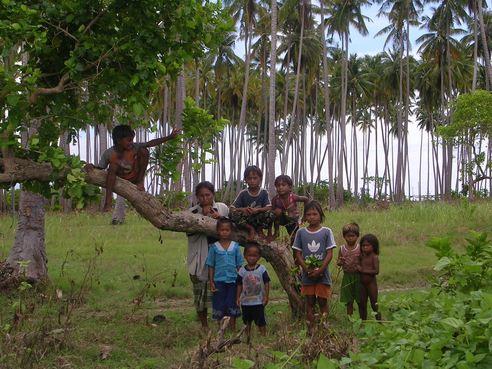 Sibuan