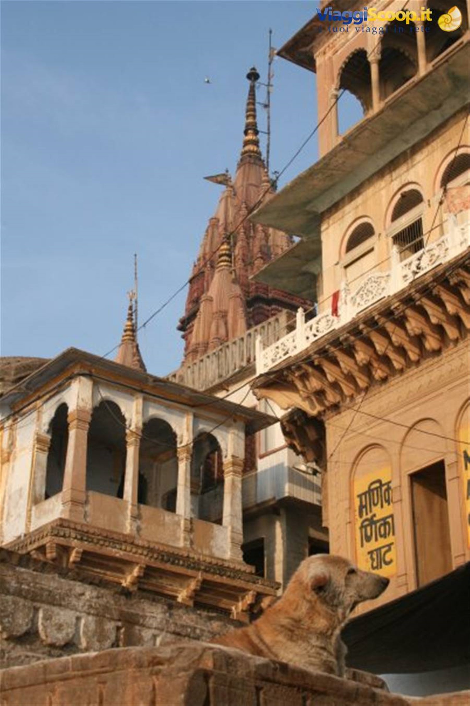 Foto di viaggio in INDIA