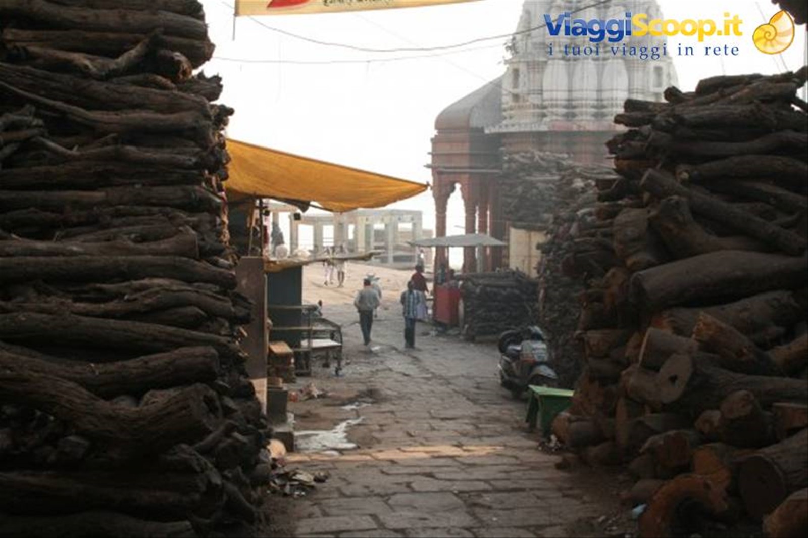 Foto di viaggio in INDIA