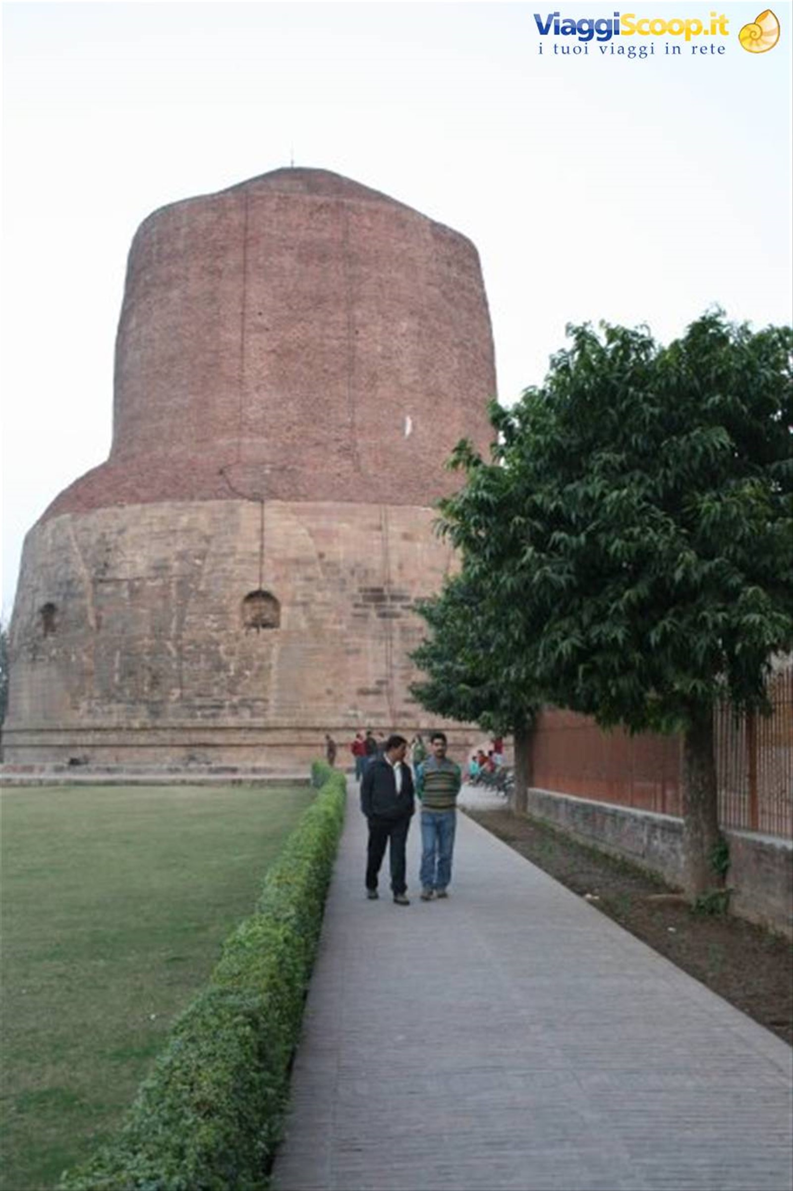 Foto di viaggio in INDIA