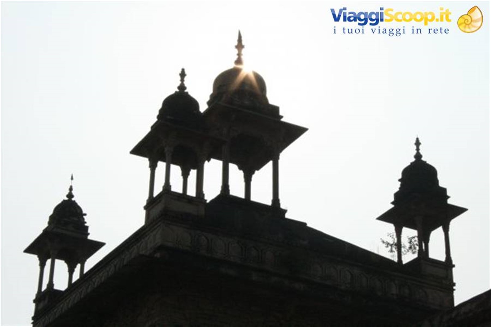 Foto di viaggio in INDIA