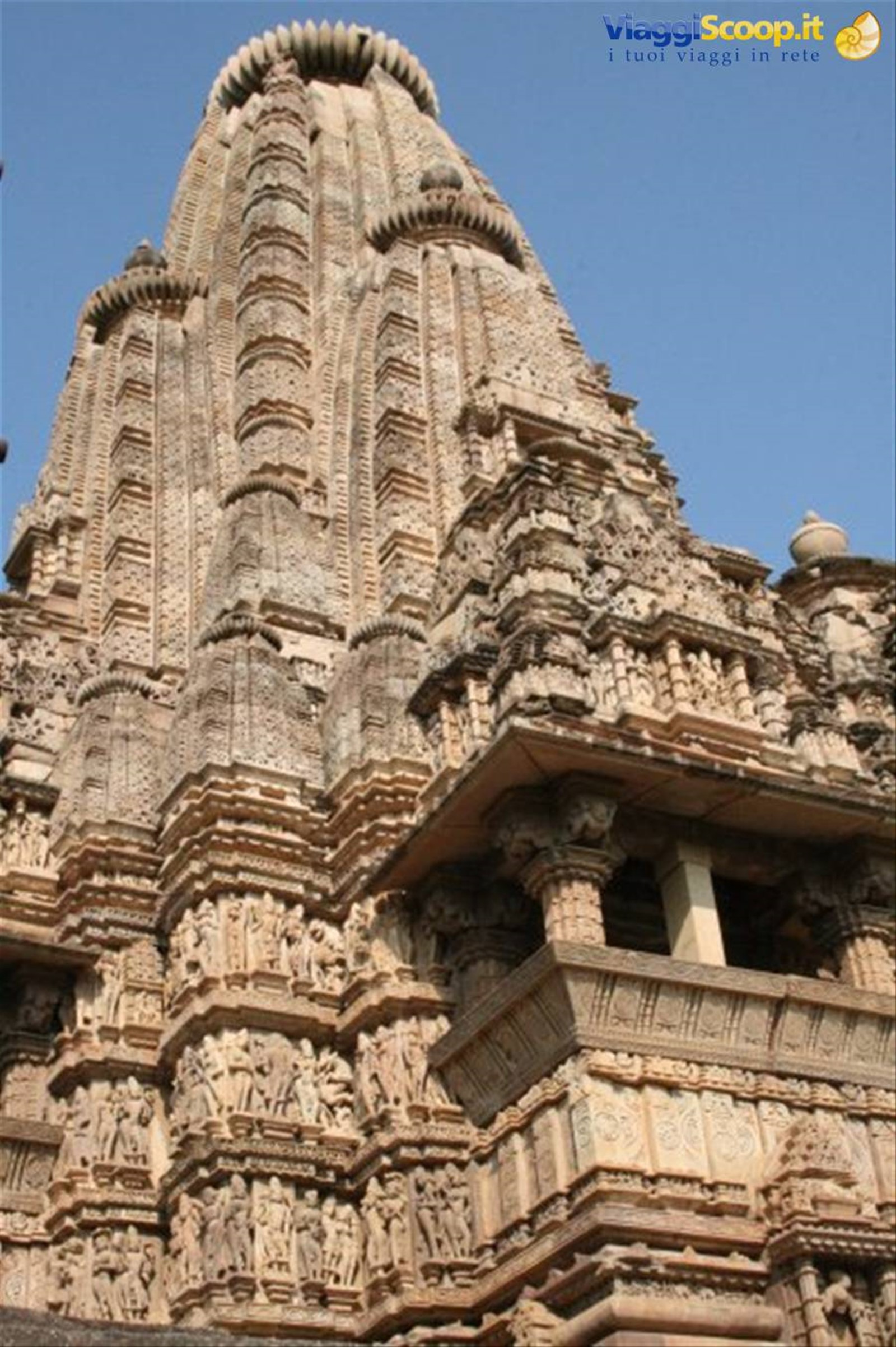 Foto di viaggio in INDIA