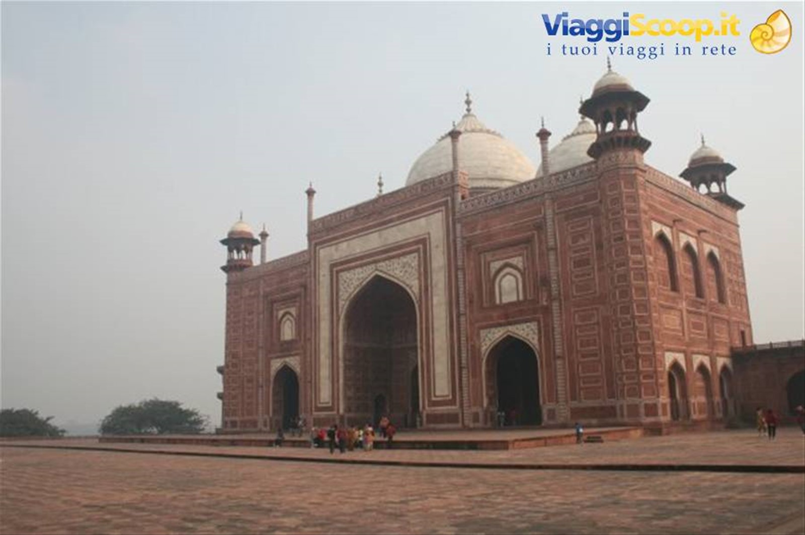 Foto di viaggio in INDIA