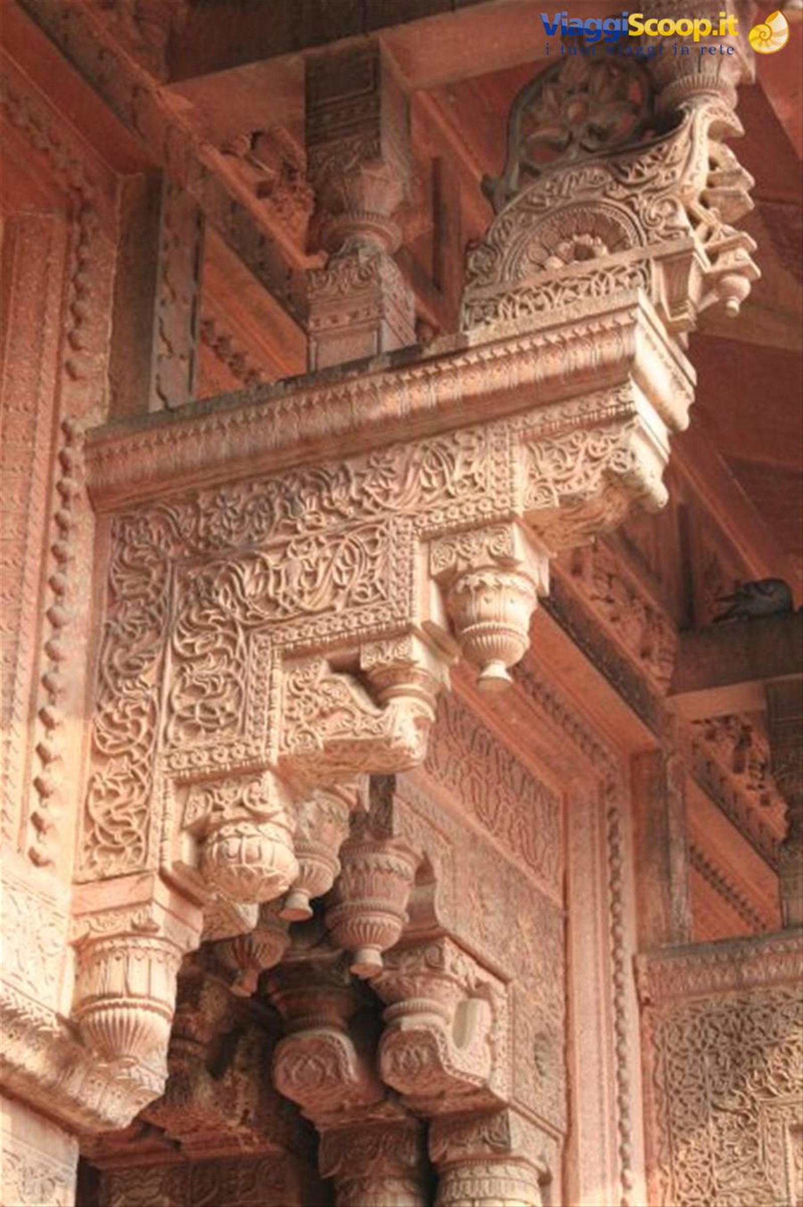 Foto di viaggio in INDIA