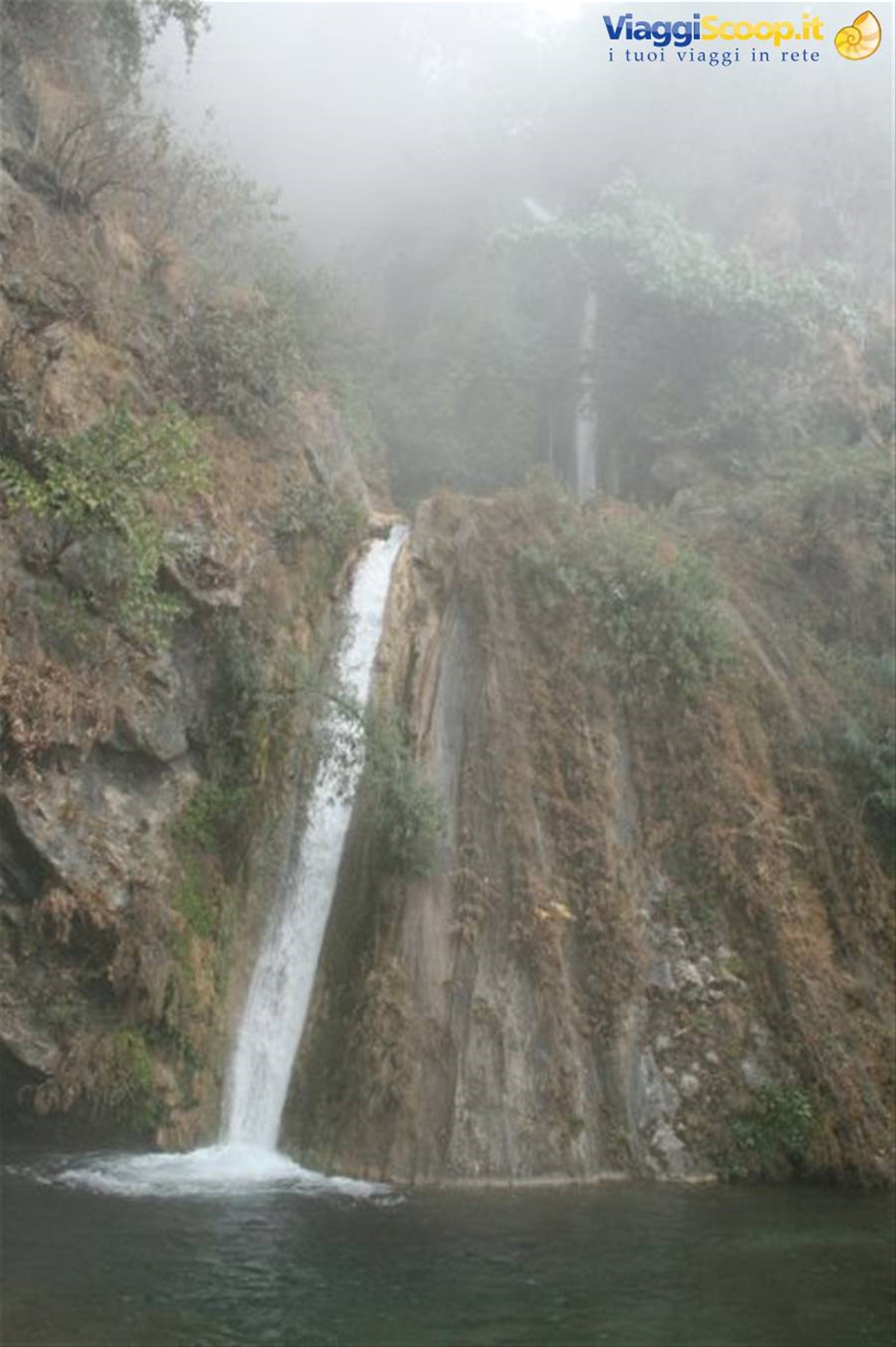 Foto di viaggio in INDIA