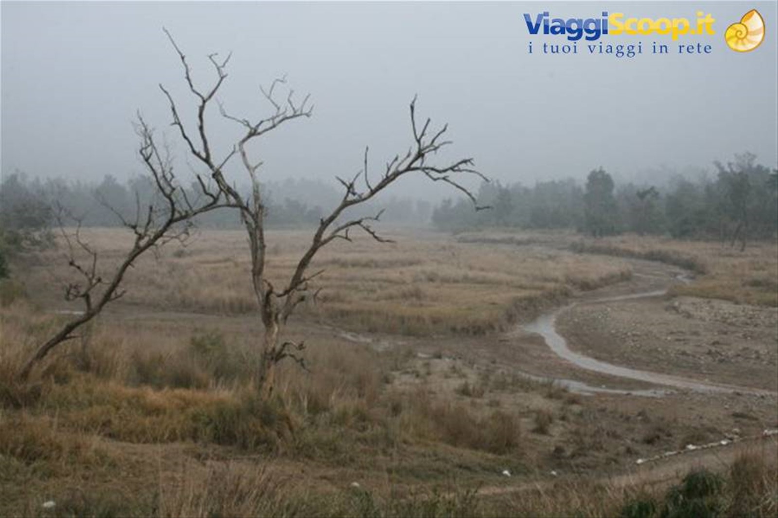 Foto di viaggio in INDIA