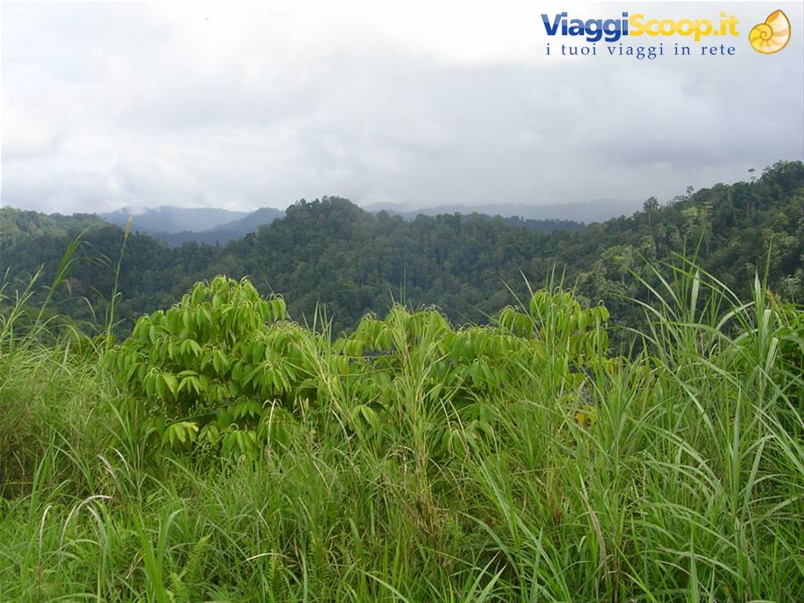 Foto di viaggio in INDONESIA