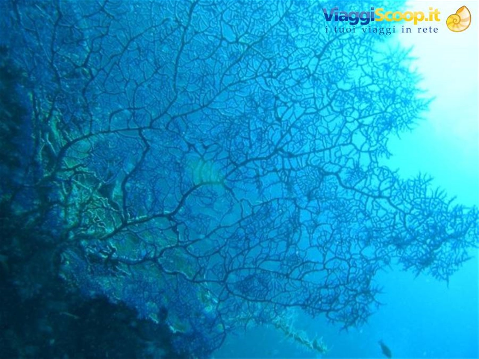 Foto di viaggio in MALESIA