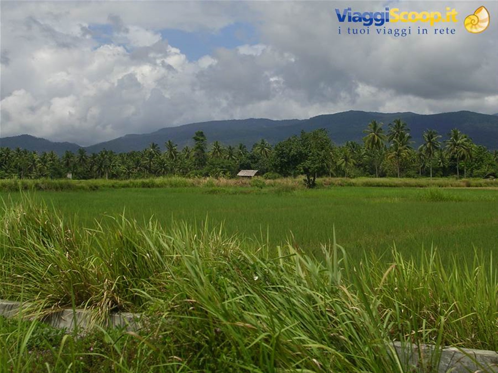 Foto di viaggio in INDONESIA