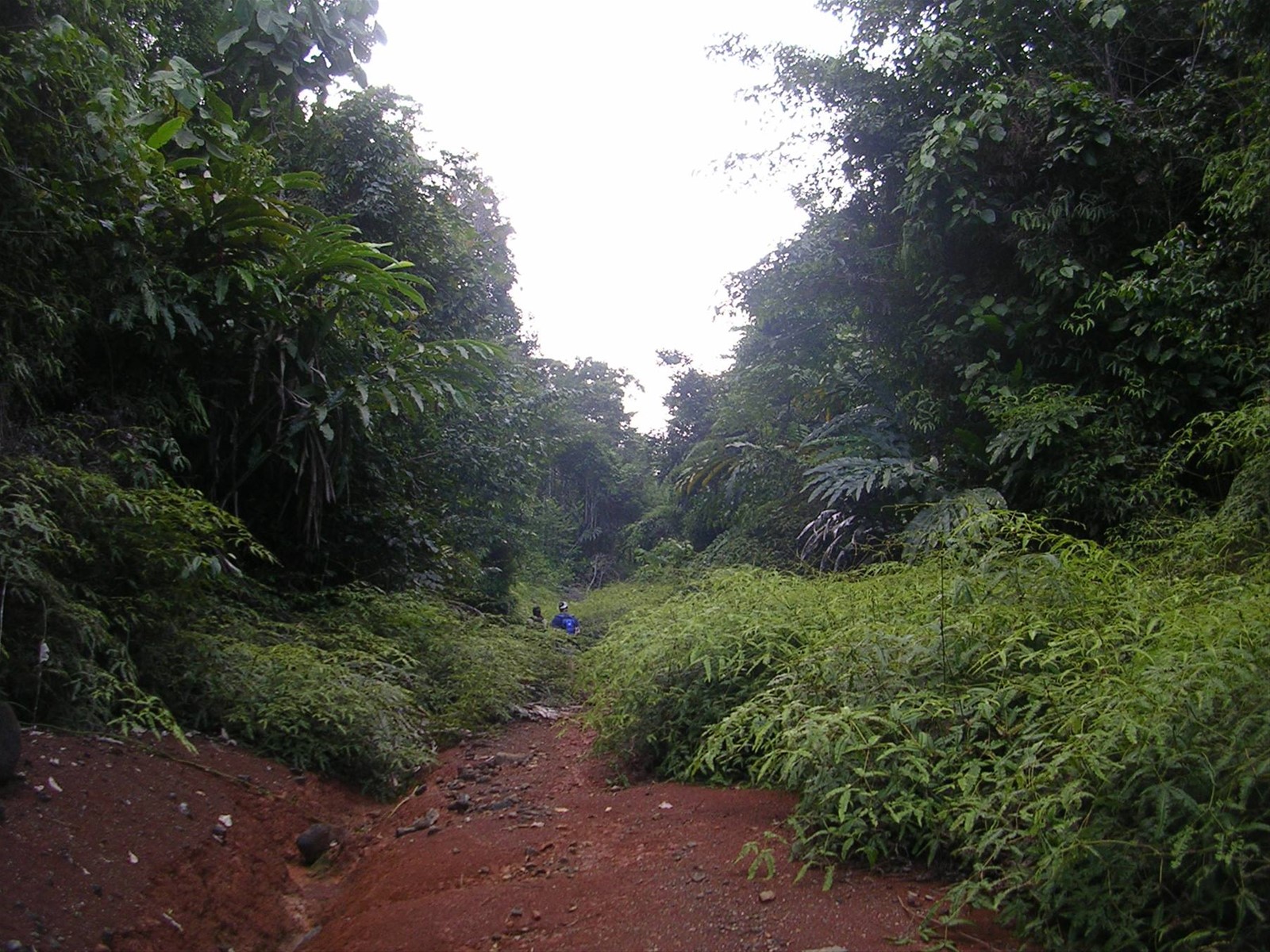 Foto di viaggio in INDONESIA
